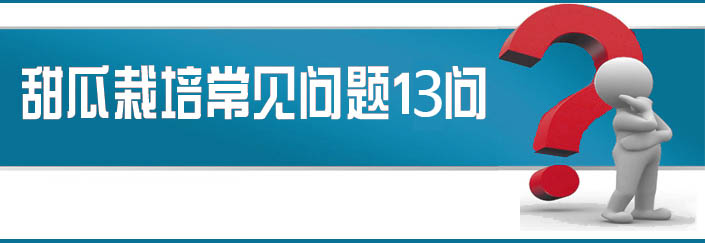 蔬菜種子栽培技術-<strong><font color='#006428'>甜瓜栽培常見問題13問？</font></strong>