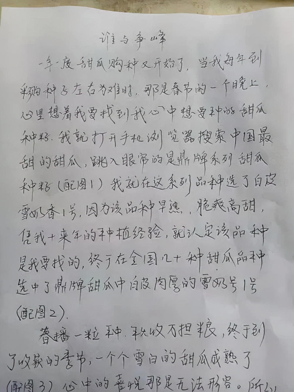 河南焦作的李向林今年種植甜瓜新品種，客戶直接拉貨走人